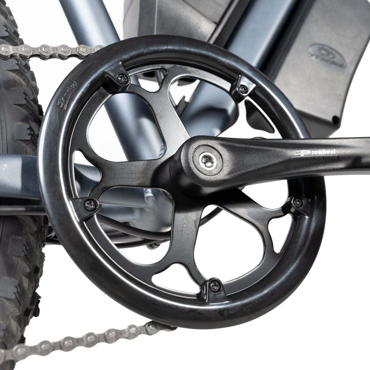 Rattan Pathfinder 750W All Terrain Fat Tire Electric Bike