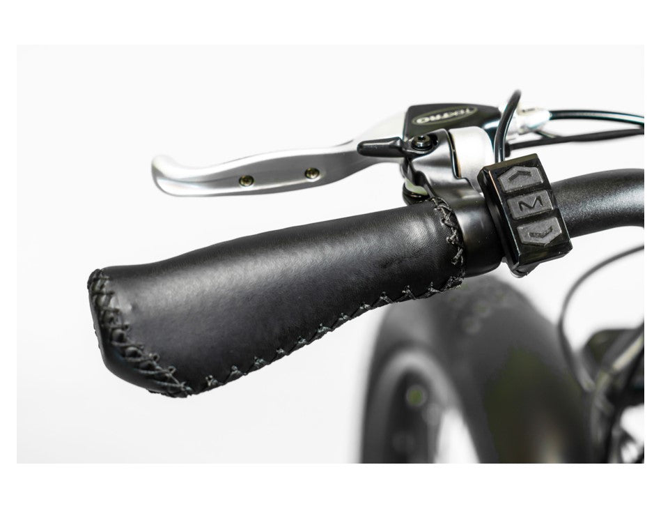 BAM Supreme 750W All Terrain Electric Fat Tire Bike Full Package