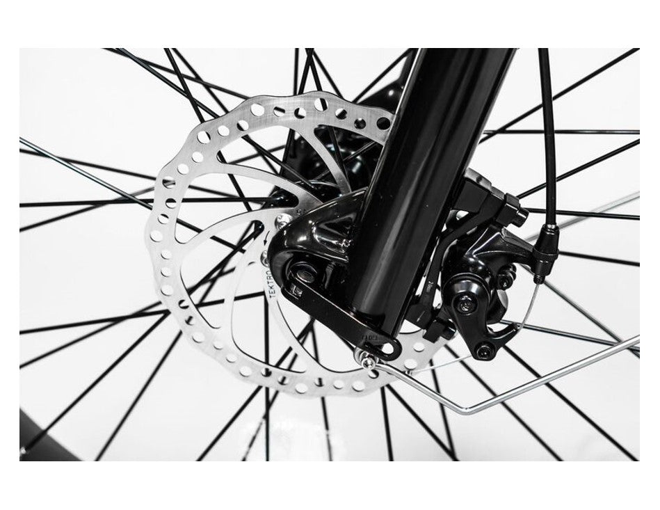 BAM Supreme 750W All Terrain Electric Fat Tire Bike Full Package