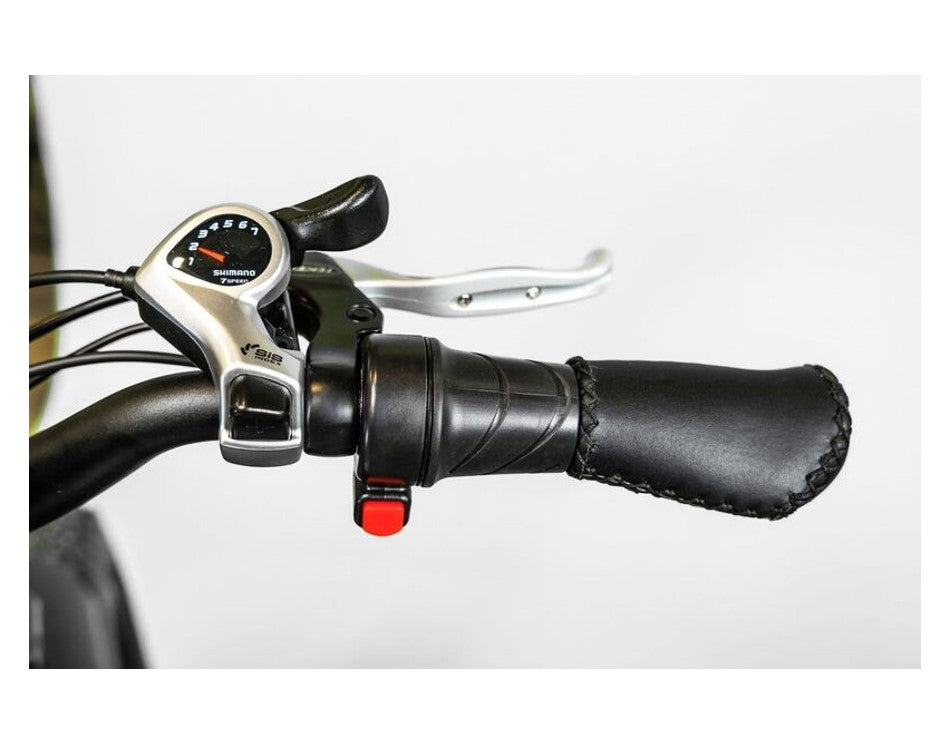 BAM Supreme 750W All Terrain Electric Fat Tire Bike Full Package