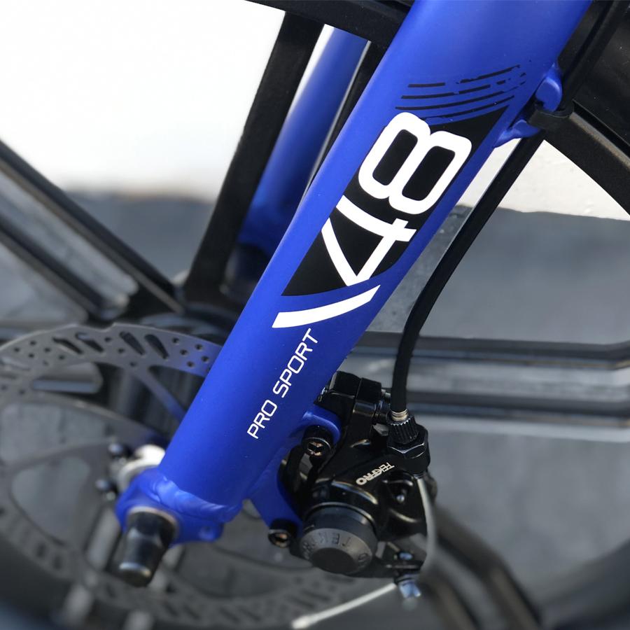 Emojo Lynx PRO 750 Folding Fat Tire Electric Bike