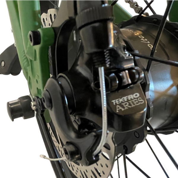 Voltaride Cruise 750W All Terrain Fat Tire Electric Bike