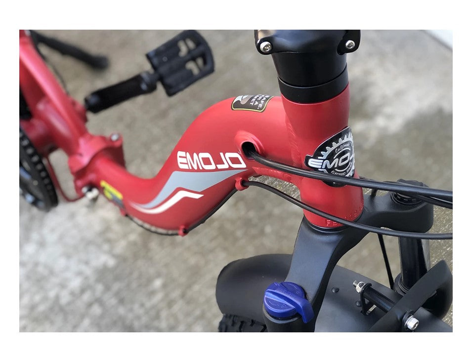 750W Emojo RAM SS Folding Electric Bike