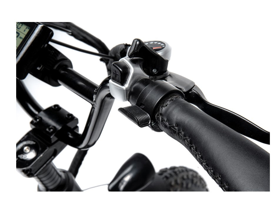 750W Ridel Snugger Moped Electric Bike