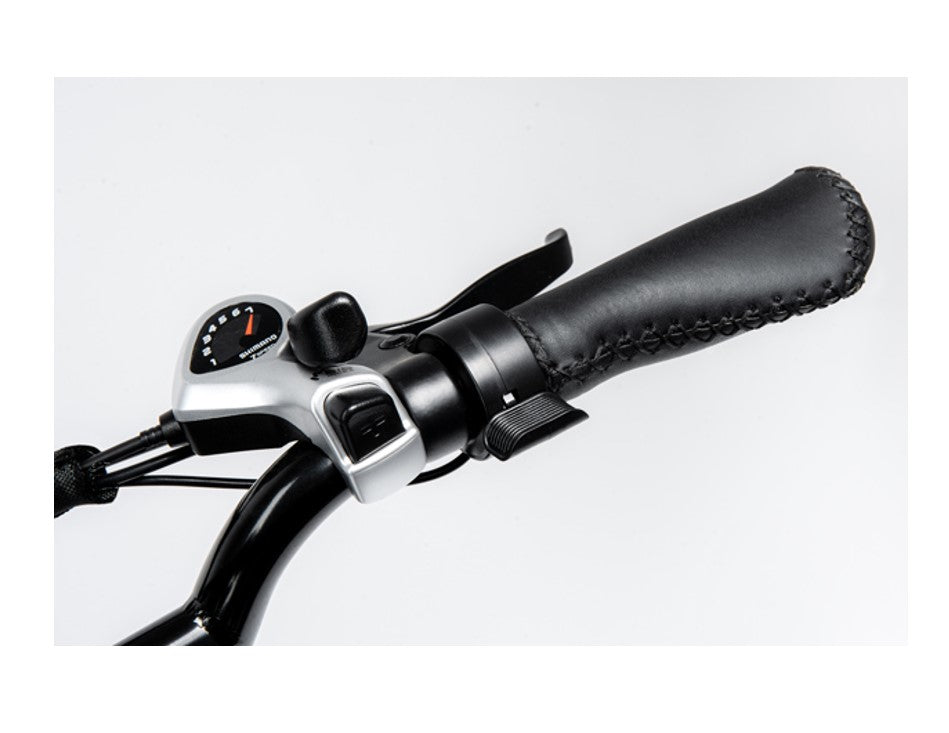 750W Ridel Snugger Moped Electric Bike