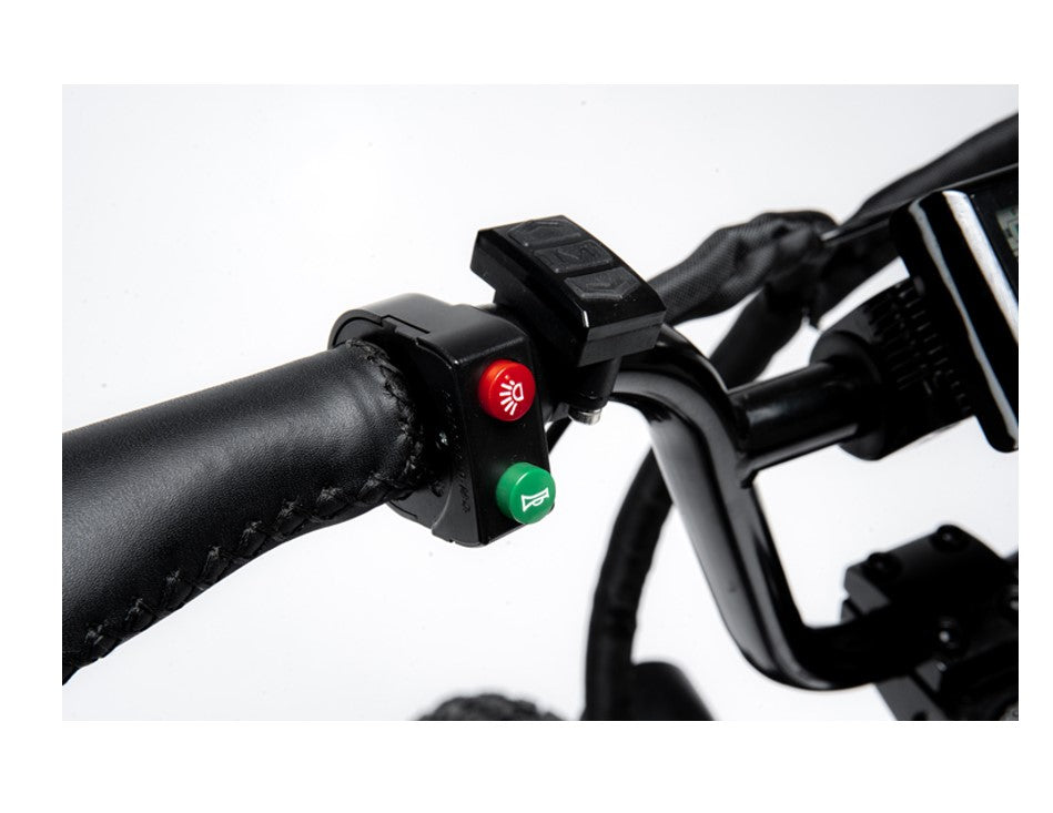 750W Ridel Snugger Moped Electric Bike