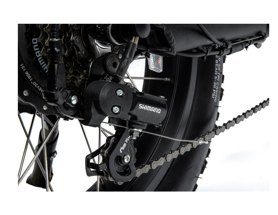 750W Ridel Snugger Moped Electric Bike