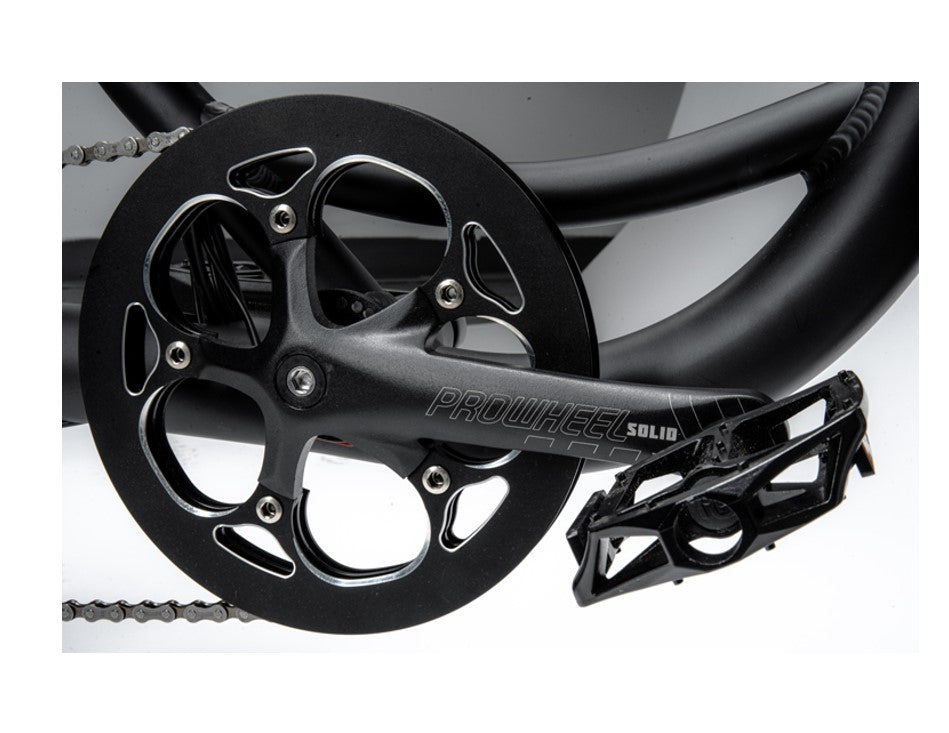 750W Ridel Snugger Moped Electric Bike