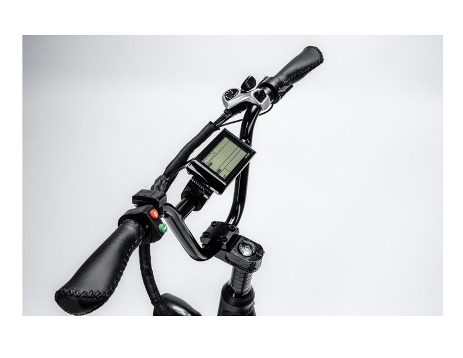750W Ridel Snugger Moped Electric Bike
