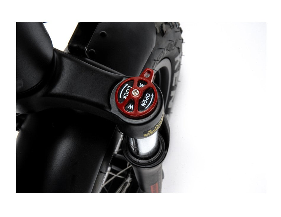 750W Ridel Snugger Moped Electric Bike