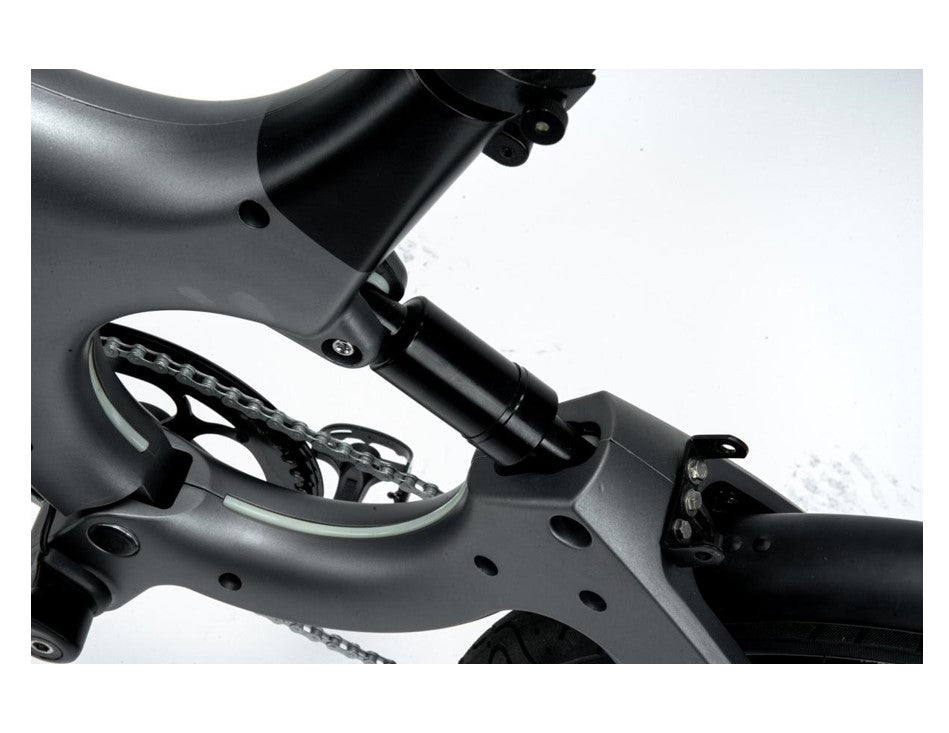 Ridel ORA City Electric Bike